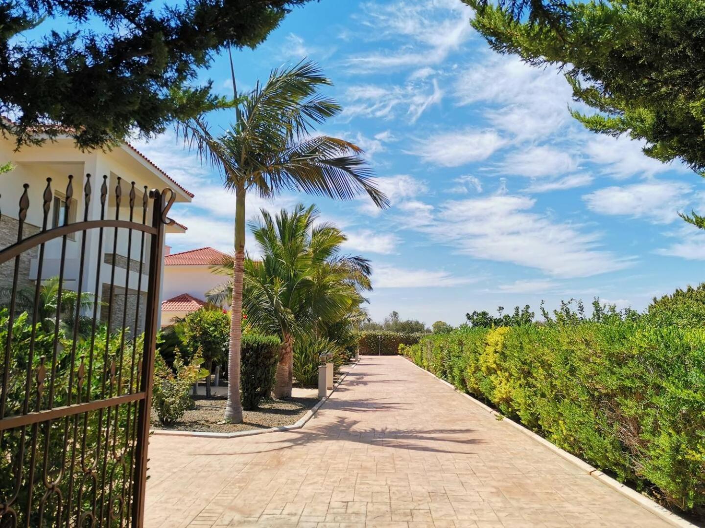 Orchard Blossom Private Villa With Pool Phrenaros Buitenkant foto