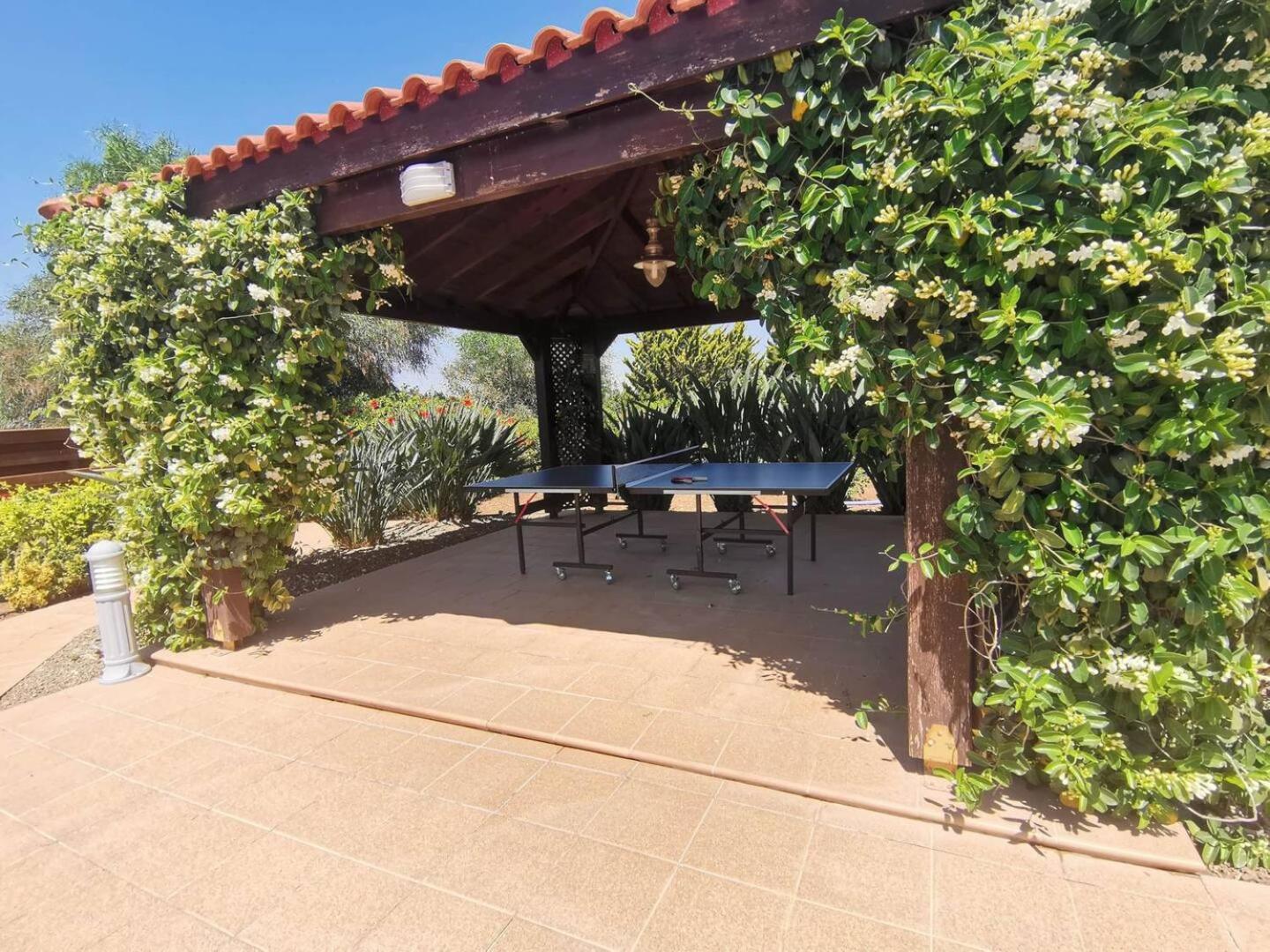 Orchard Blossom Private Villa With Pool Phrenaros Buitenkant foto
